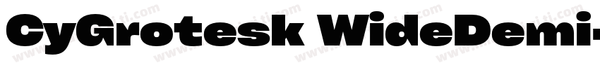 CyGrotesk WideDemi字体转换